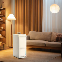 Sunrise Compressor Dehumidifier (for large room)